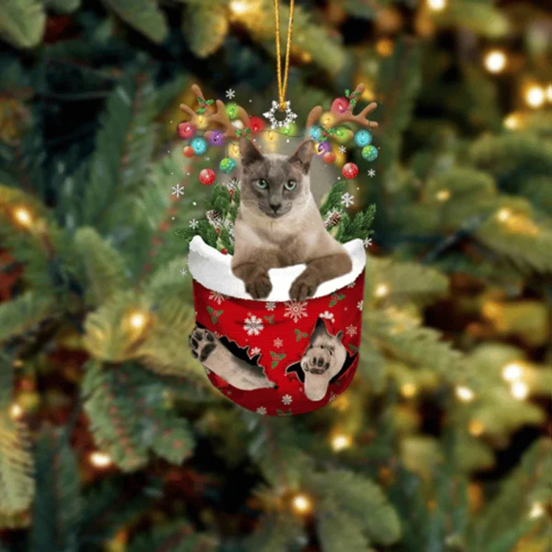 Cat Tonkinese In Snow Pocket Christmas Ornament