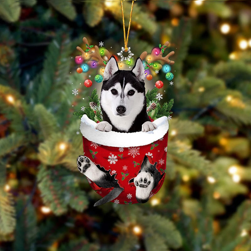 Husky In Snow Pocket Ornament