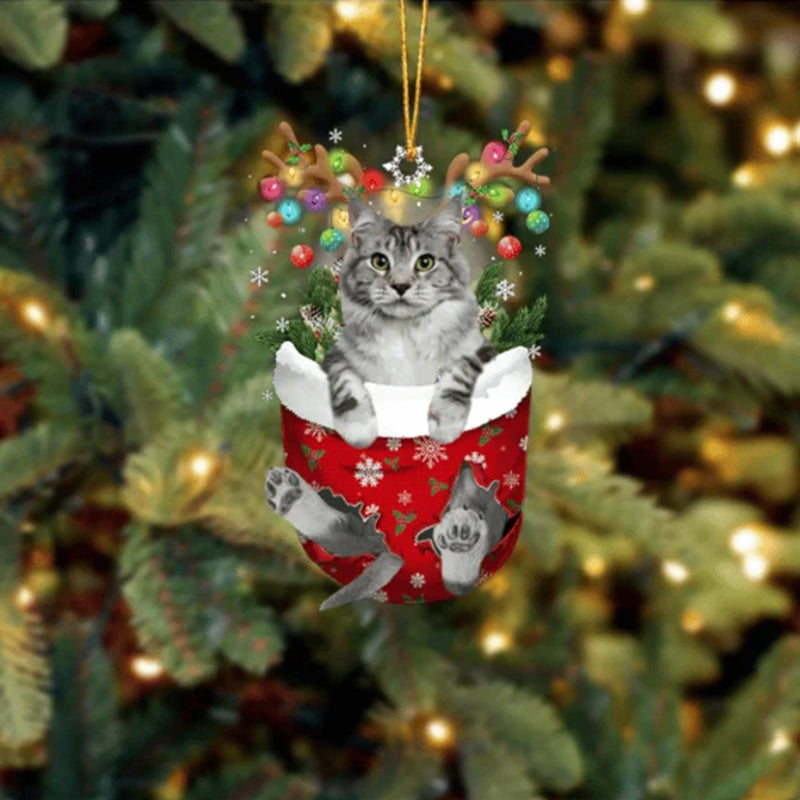 Maine Coon Cat In Snow Pocket Christmas Ornament