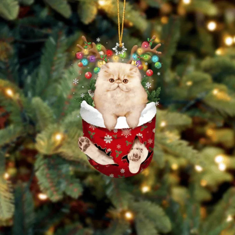 Persian Cat In Snow Pocket Christmas Ornament