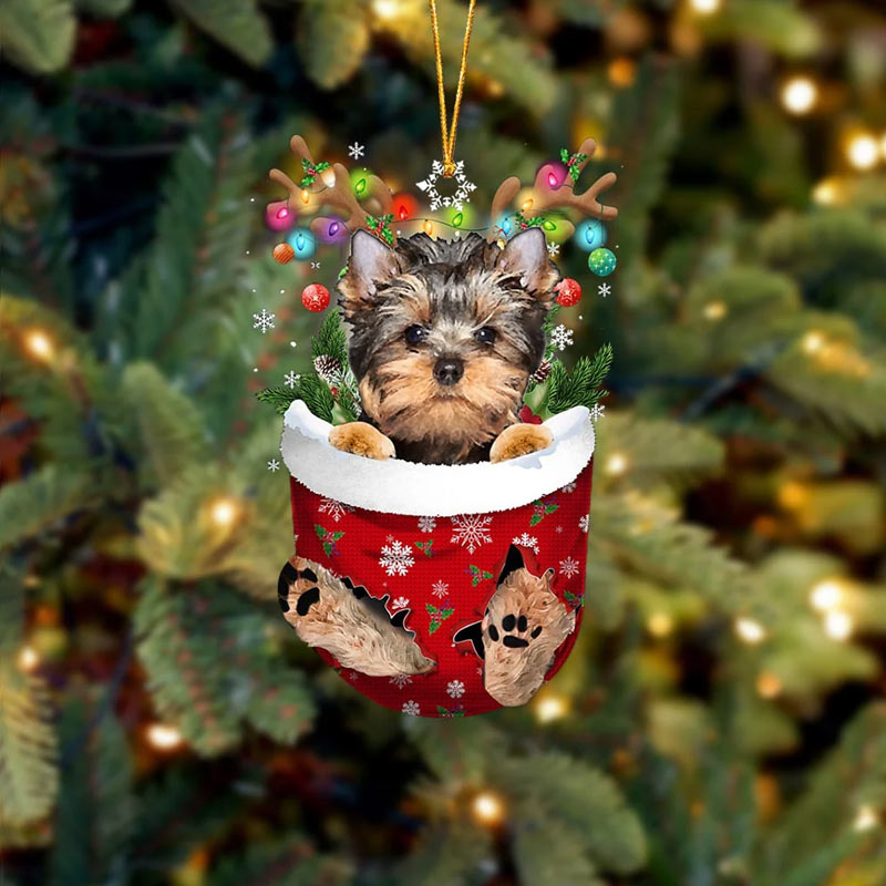 Yorkshire Terrier In Snow Pocket Ornament