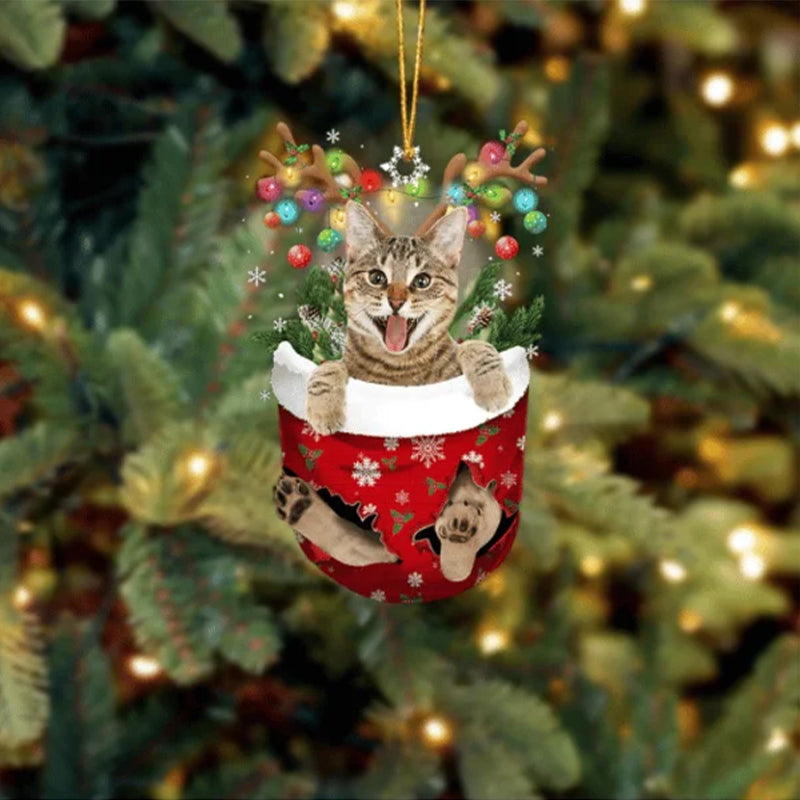 Cat 10 In Snow Pocket Christmas Ornament