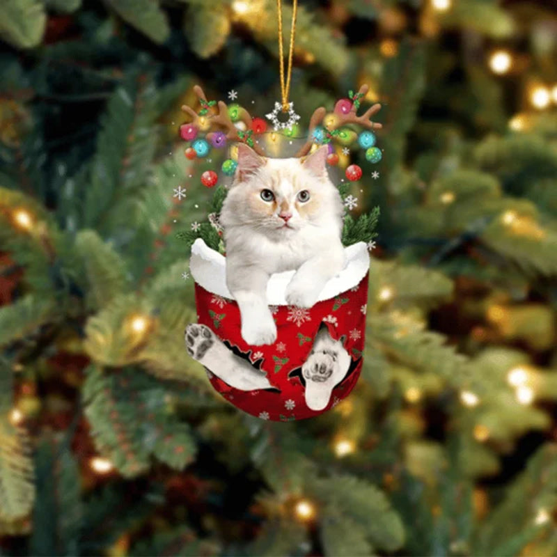 Cat 11 In Snow Pocket Christmas Ornament