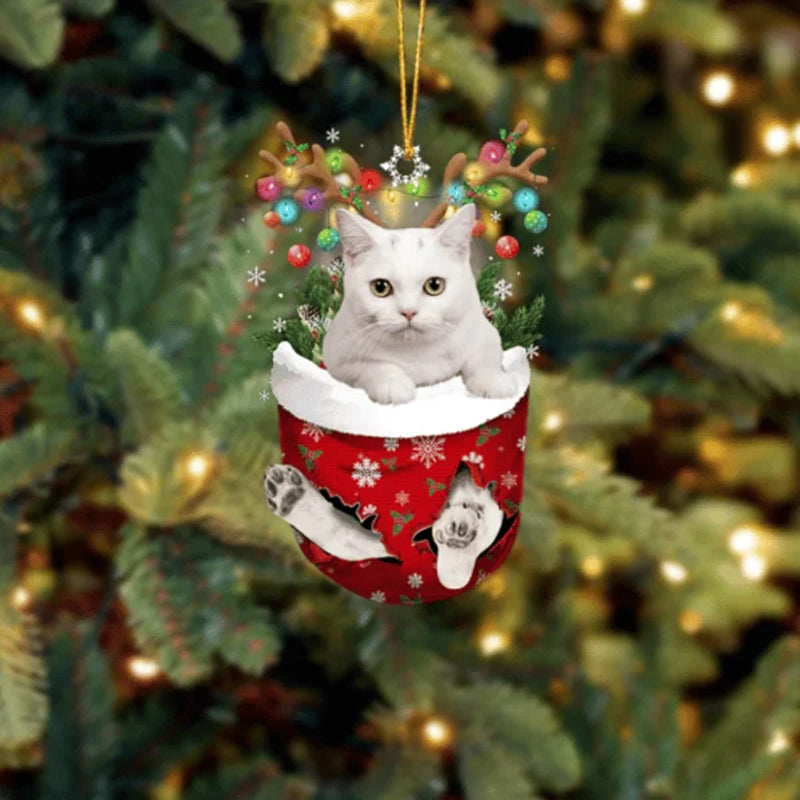 Cat 12 In Snow Pocket Christmas Ornament