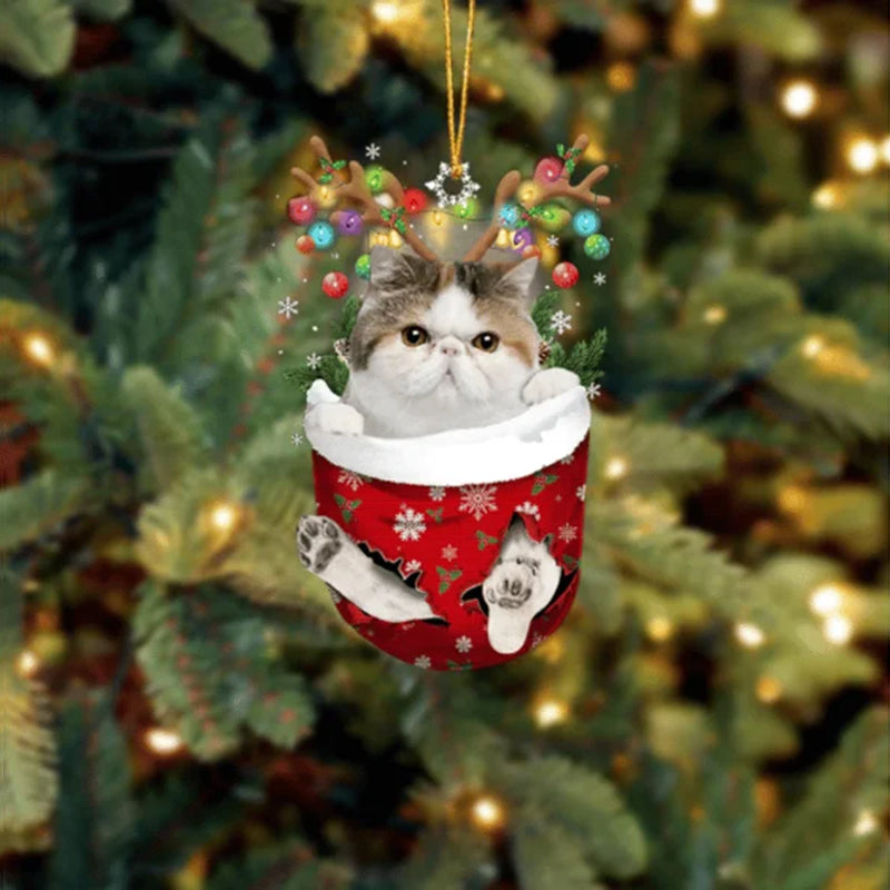 Cat 13 In Snow Pocket Christmas Ornament