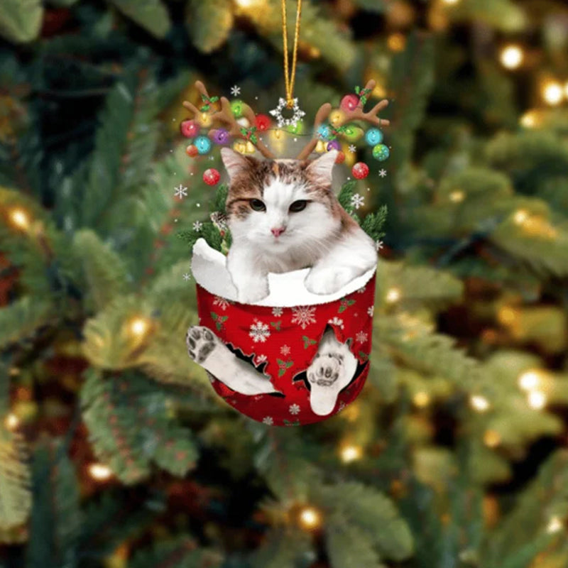 Cat 5 In Snow Pocket Christmas Ornament