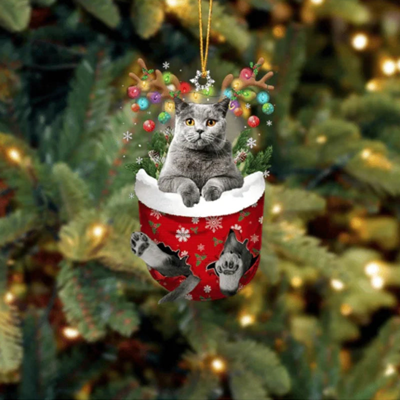 Cat 7 In Snow Pocket Christmas Ornament