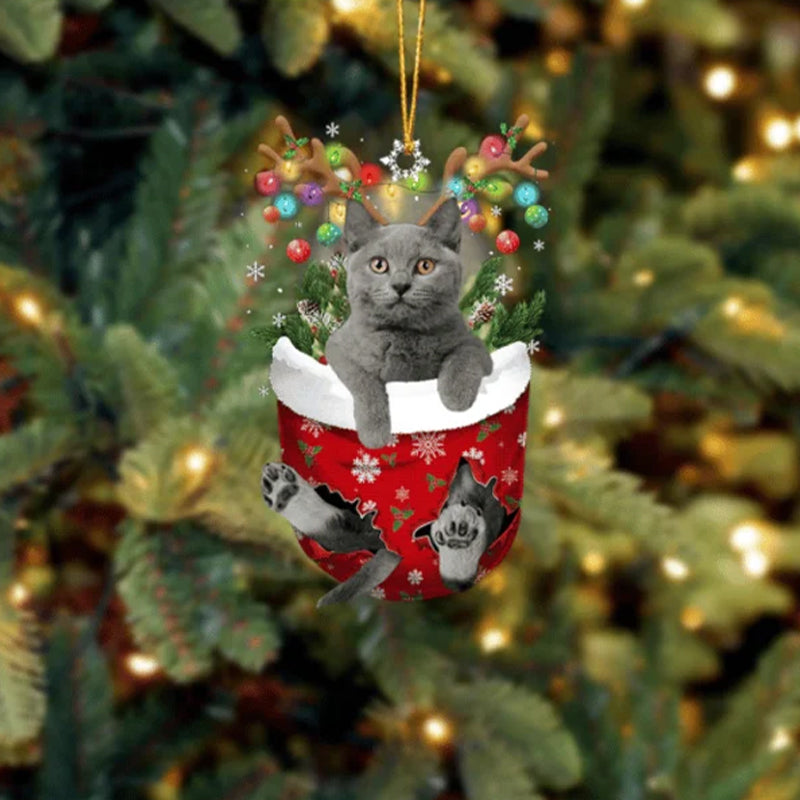 Cat 9 In Snow Pocket Christmas Ornament