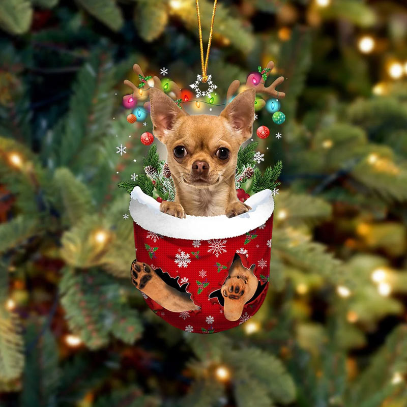 Chihuahua In Snow Pocket Ornament