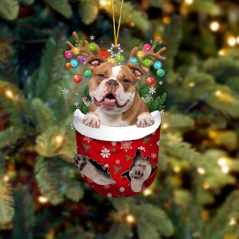 English Bulldog In Snow Pocket Ornament