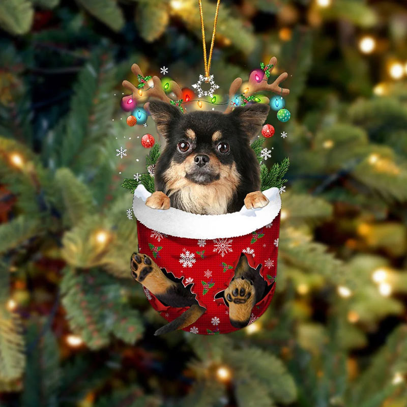 Long Haired Chihuahua In Snow Pocket Ornament