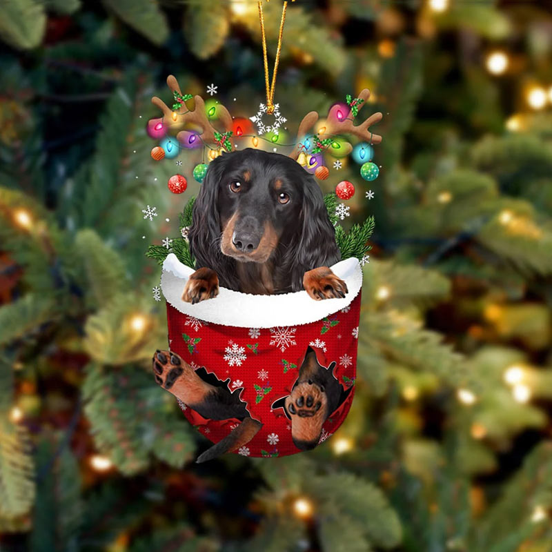 Long Haired Dachshund In Snow Pocket Ornament