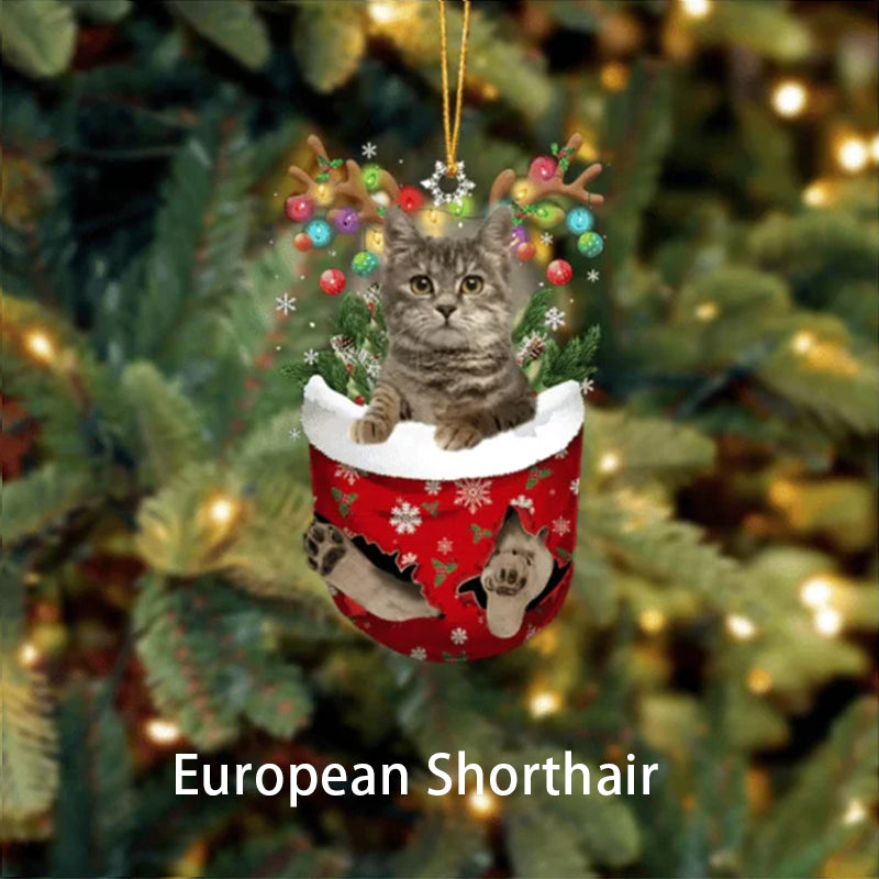 Shorthair In Snow Pocket Christmas Ornament
